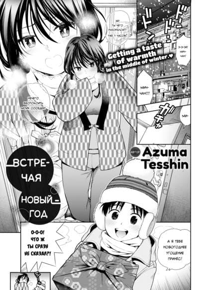 Встречая новый год