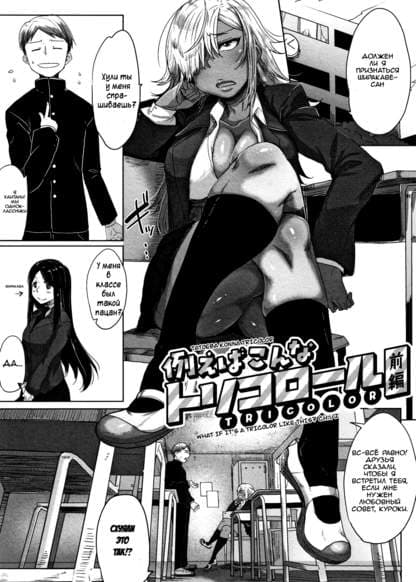 Tatoeba Konna Tricolor