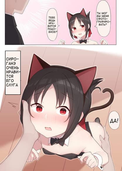 Nekomimi no Kaguya-sama