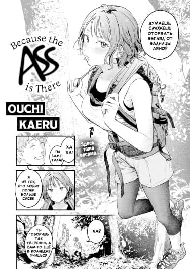 Because the Ass is There