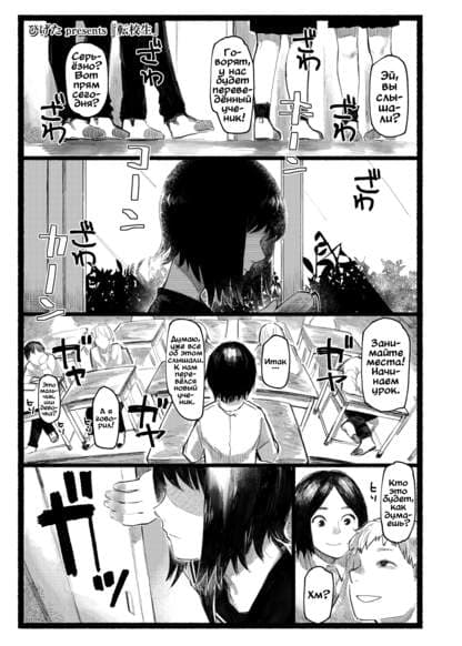 Переведённая ученица