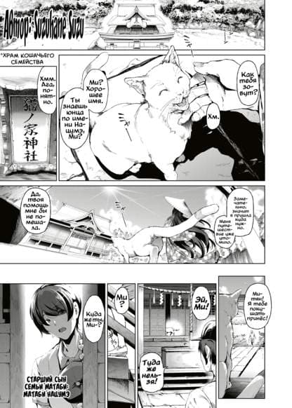 Пришла к парню кошечка...