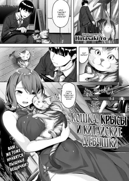 Кошка, крысы и китайские девушки