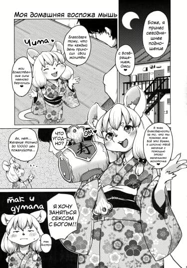 Моя домашняя госпожа мышь