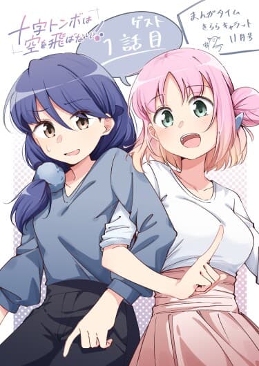 Стрекоза не летает по небу