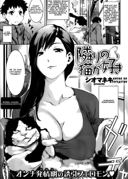 Киска по соседству